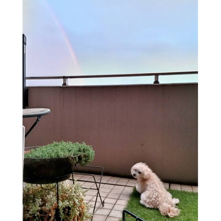 1c2e06dc 36a6 4fb7 8513 020268c506bc 1717413758059