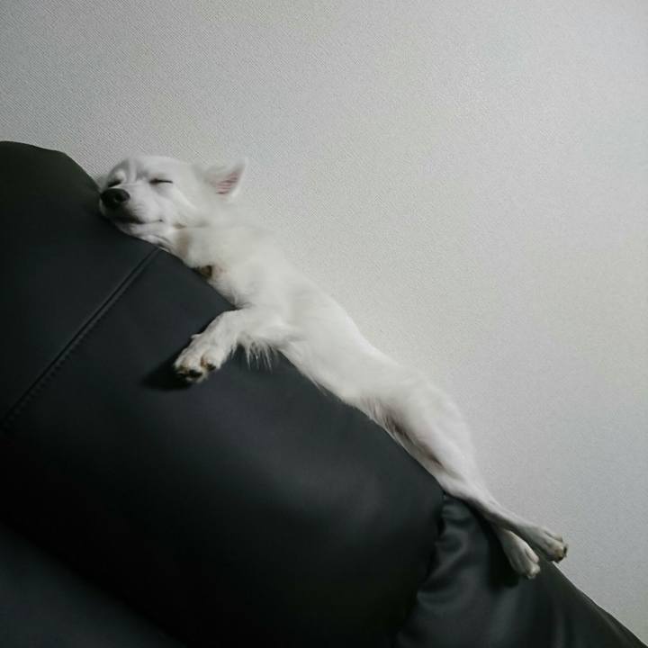 1c2e6bb8 38f0 4338 84d1 bf406dba9e2c 1509604317741