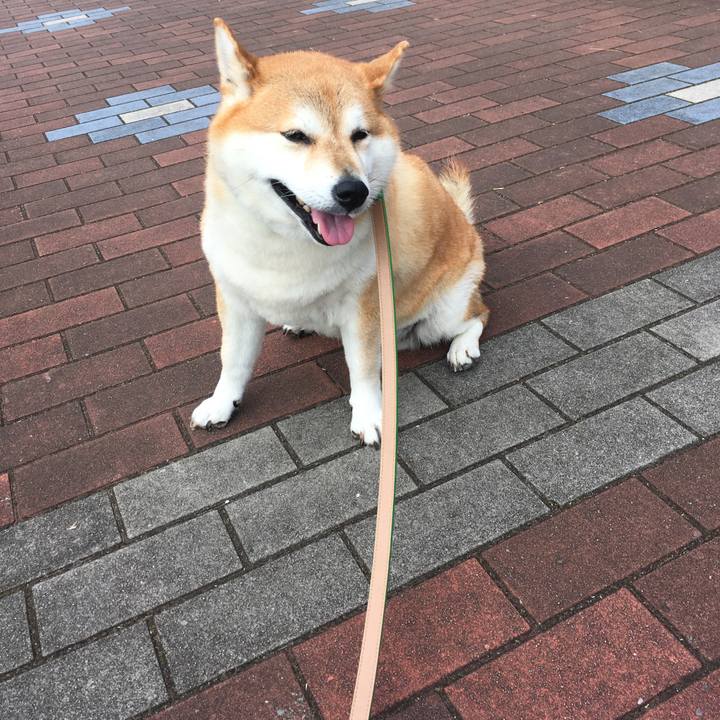 1c2ed3ea 0aaa 45fe 9d0e 99d45752c67e 1601952029789