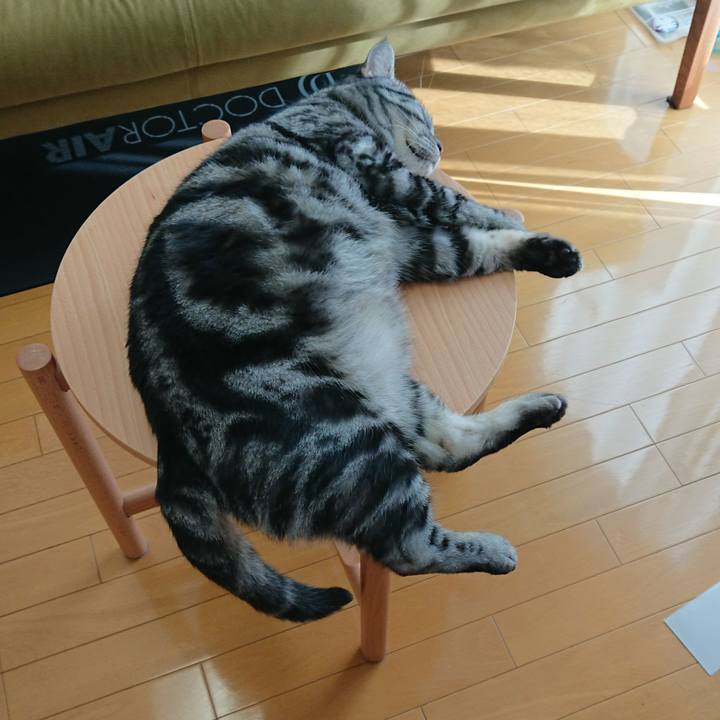 1c2ede21 ab7d 45f5 8650 088313b96c73 1598770832749