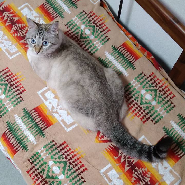 1c2ef114 e5ef 423c 86f3 b141f9c06cea 1625742416219