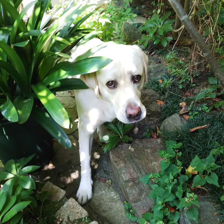 1c2f04fe dd8e 499e b1c3 a4151bb0b7fb 1532063091858