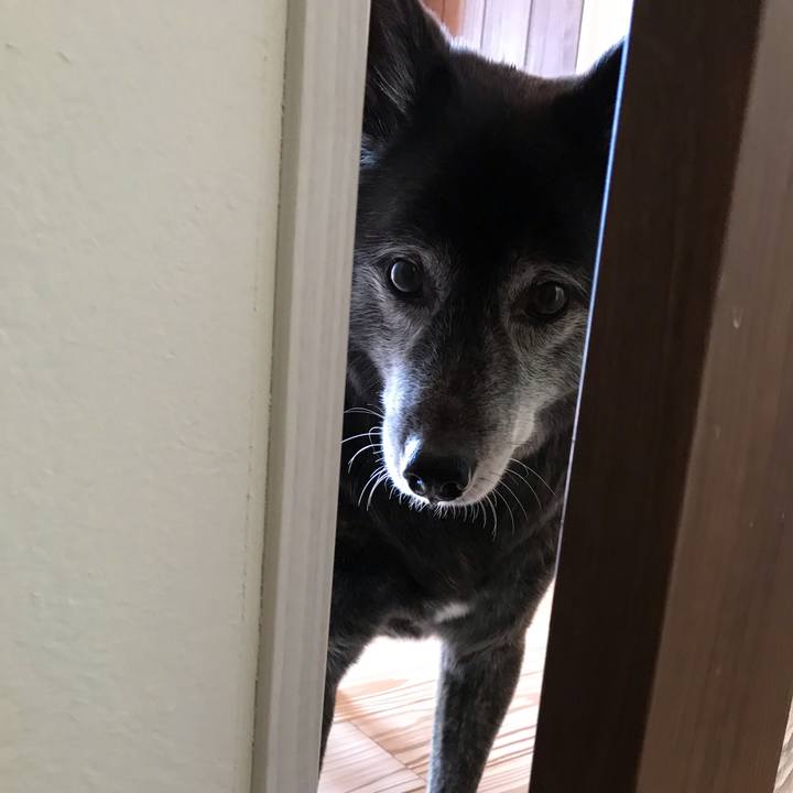 1c2f0c19 84ab 40ff a550 b30809858b77 1648098923625