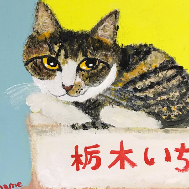 1c2f32da 34e6 4a5a 8f77 7321440736f0 1550398807970