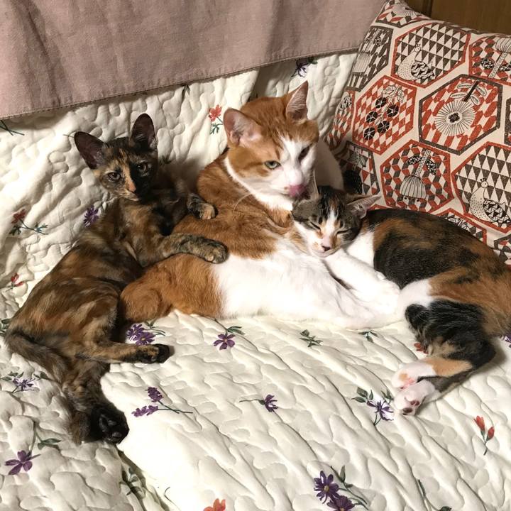 1c2f3537 5f65 49e5 91ff 962e12e857ec 1603375133249