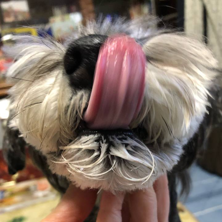 1c2f4d4e 57e2 4507 a719 c0f530996a54 1703938401650