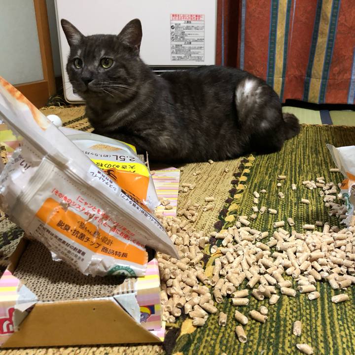 1c2f522e 38f3 4437 bdbc 0e4e6052287f 1592294103881