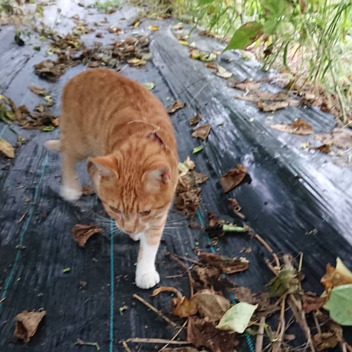 1c2f5a6f 60c7 4758 a72c d64b1f1f86b1 1568148869637