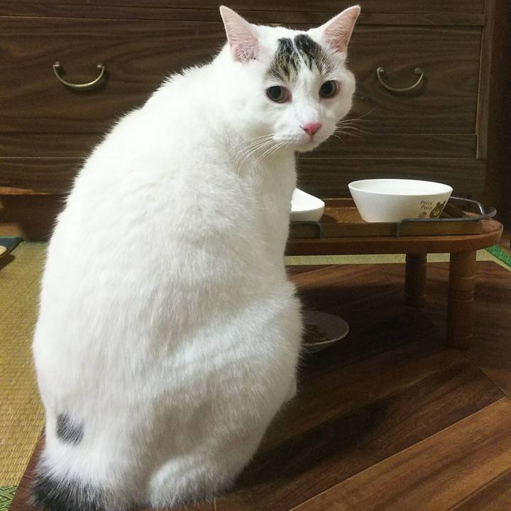 1c2f9a7a 244a 4b60 b59e cc141080c99c 1536234435810