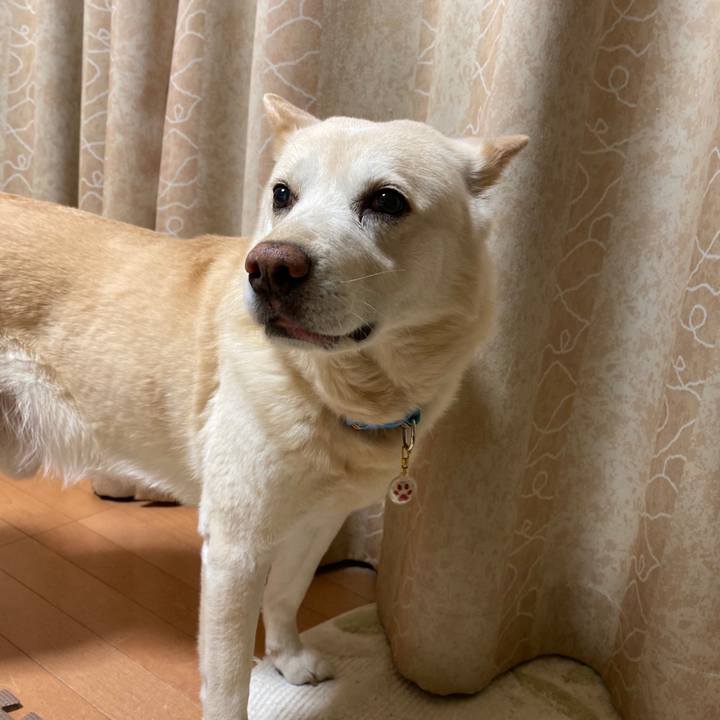 1c2f9f0d 3c6e 49c8 bdc6 0f3b040e696e 1581860597851