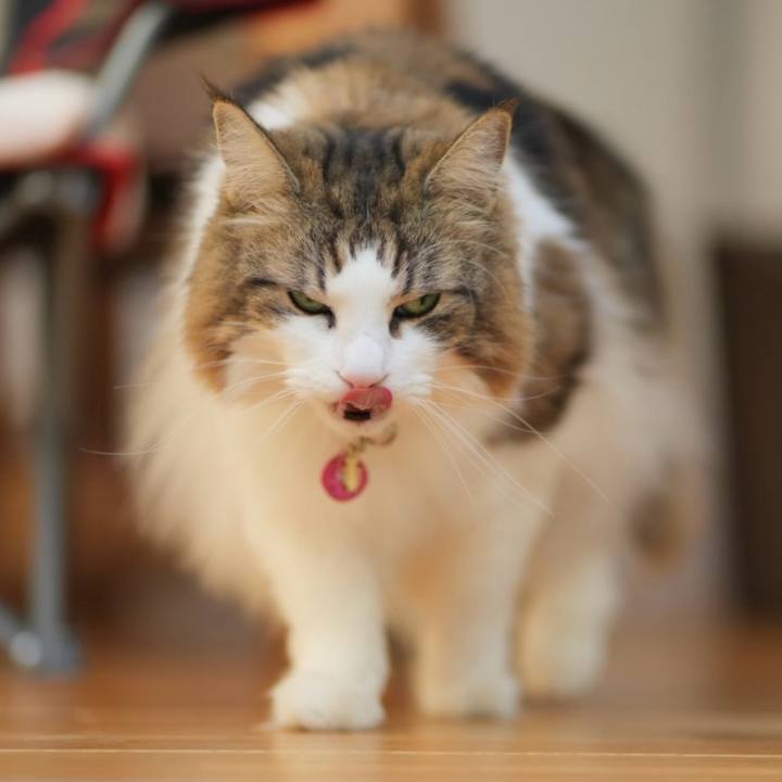 1c2fa1da 7dd7 4e72 8bb7 397f70236a1d 1706686377885