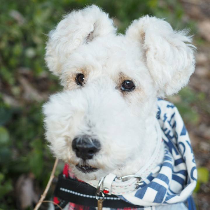 1c2fa5b2 0027 45fe a39b 81c9ff552d54 1519946528675