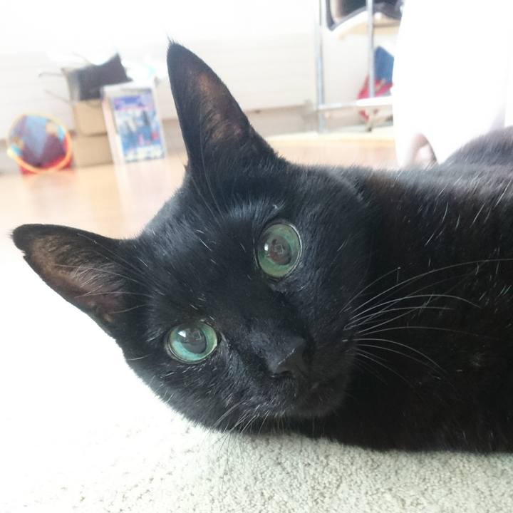 1c2fbd62 36b0 470e 8a08 759f2d5d71cb 1520979960666