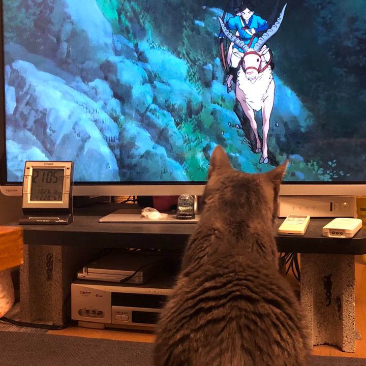 1c2fe630 e80d 4160 ac2d 97f883fb0be9 1540558082205