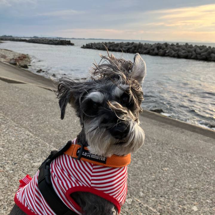 1c300435 3d89 49bf 8f09 880a45a21e61 1748697747136