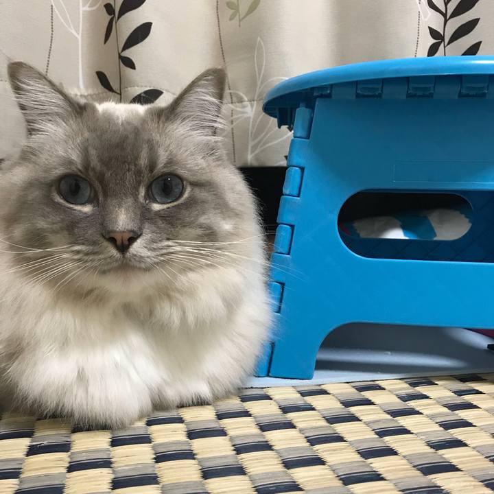 1c30098f 596f 4dfe 8749 a395c79d5dab 1511959385913