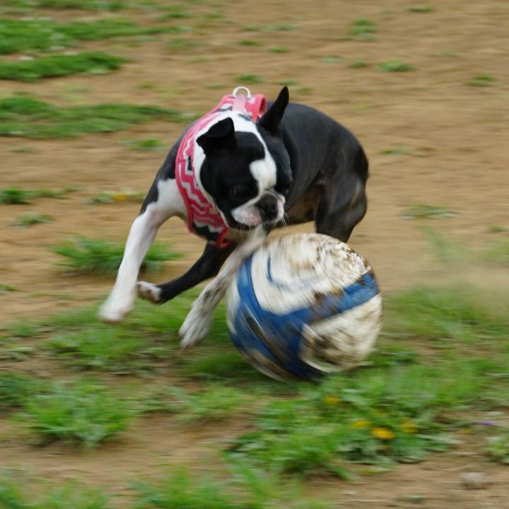 1c303448 7af8 4862 ab26 2997919cfea4 1556449833615