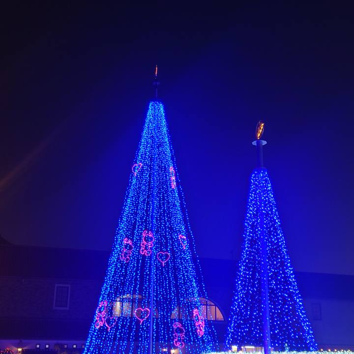 1c3038d6 b344 4340 b15a de6a2d7632ae 1763980756320