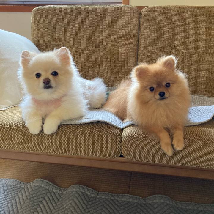 1c30593a f5df 4a89 aeb4 7adfe84ff7fe 1694559494850