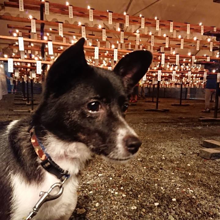 1c308030 966e 4c08 898a 471bcd6b36d4 1537613666474