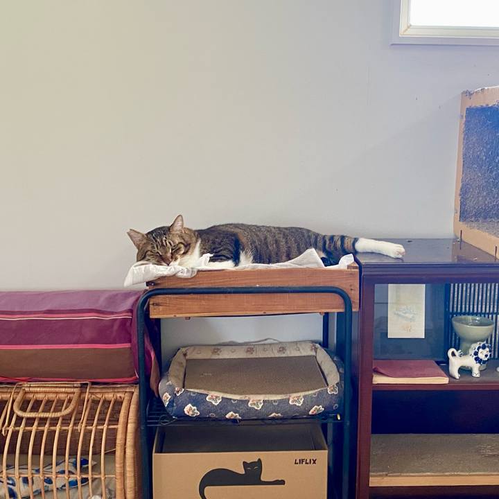 1c308311 afa1 4d39 8302 0697355325c0 1758607295083