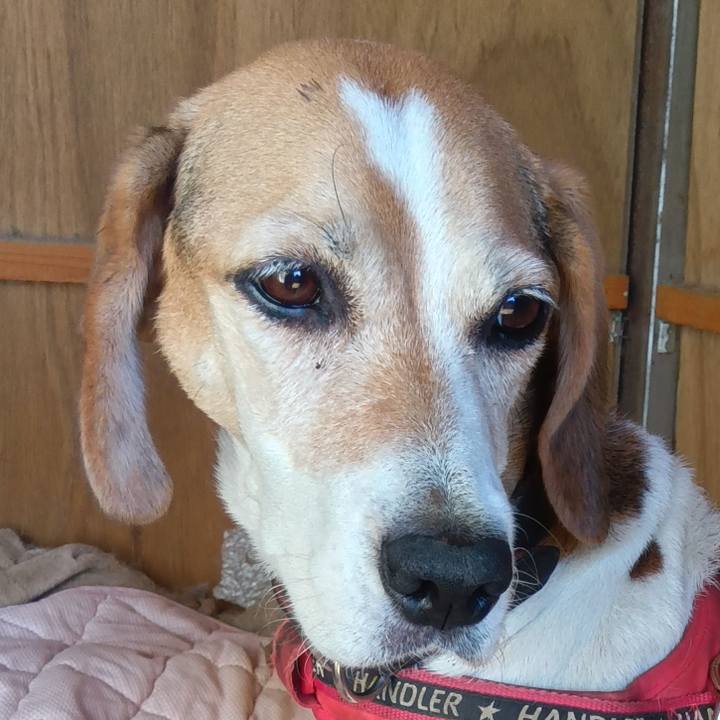 1c30d8f5 533a 4ef8 9820 1629f6e9fd97 1728718456452