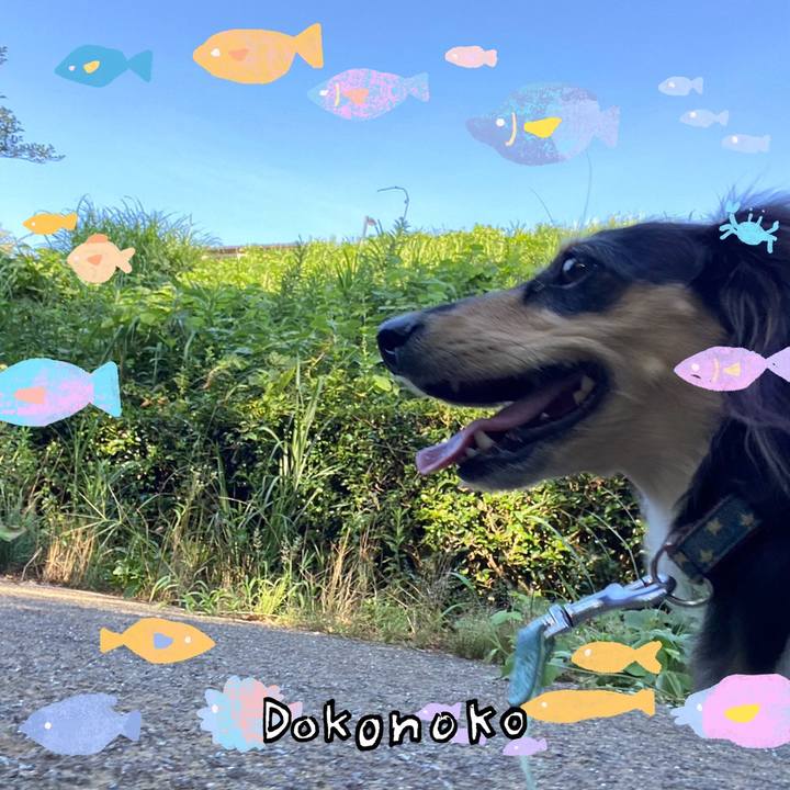 1c30de7d 08c4 41c7 94a5 437498e1e9f9 1755216150495