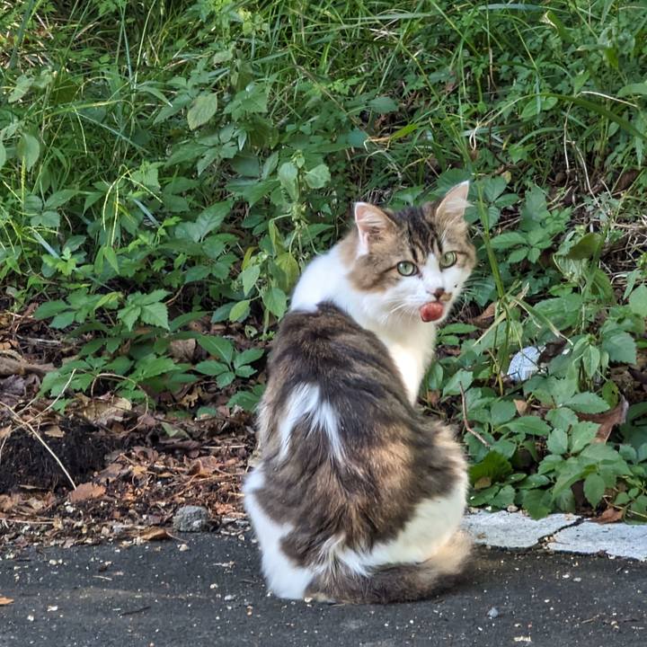 1c30e0cb a148 4ac4 af31 59ea253c2dd8 1697516601434