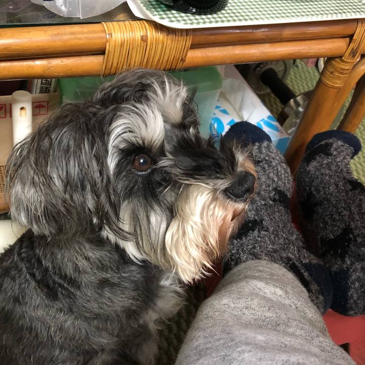 1c30f19d 3226 4a86 9771 4bfc8e0dcb60 1549778963269