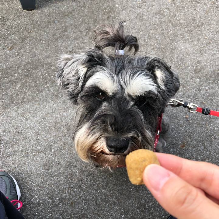 1c311dc4 c0c7 4d3d a4ab b98c8f5c0036 1562461274851