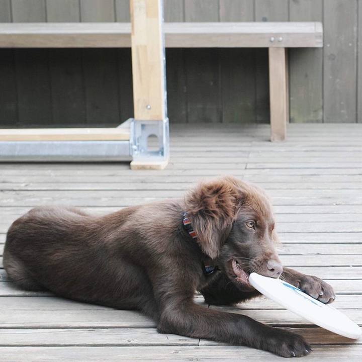 1c313361 79e0 4081 8c2d 103ae2ca1a19 1558314235526