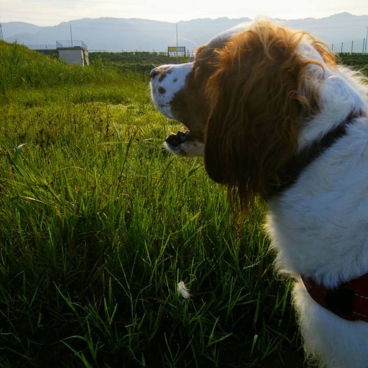 1c314d22 efca 4a24 8cf2 f3f984aaf4e3 1537242642353