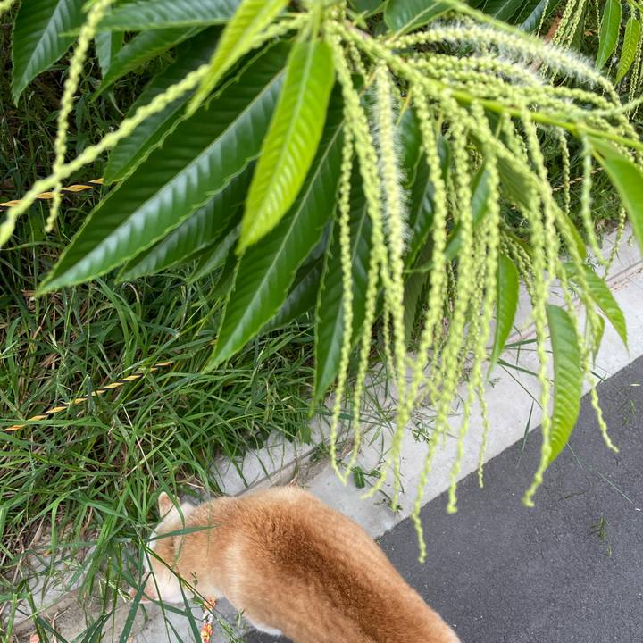 1c314f43 2e03 403d 8ba0 59c52b8caeaa 1653033702796