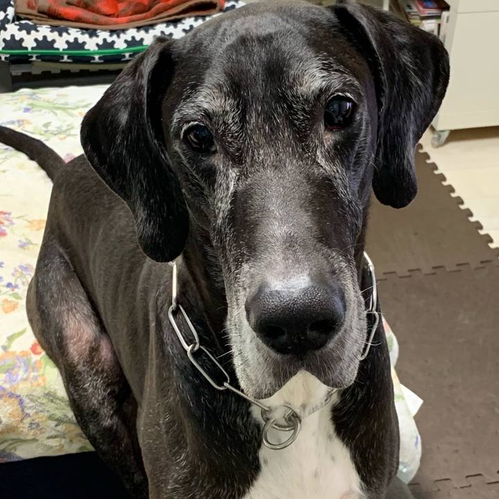 1c3154c3 9081 40e7 ad98 0718c295e30e 1562884487793