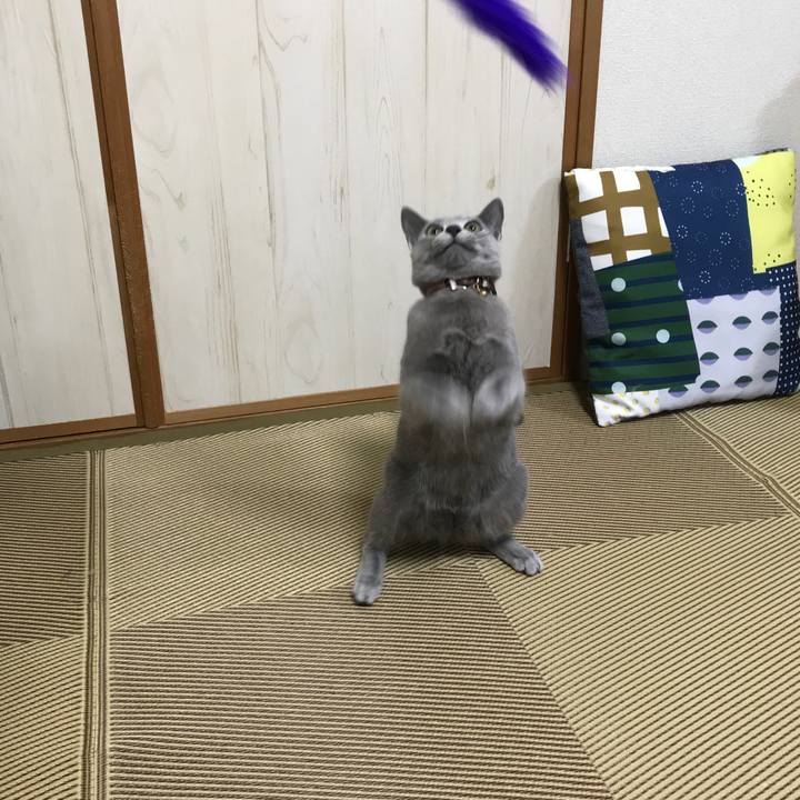 1c316f19 fd02 442f b536 df604e2a1f7a 1523487847609