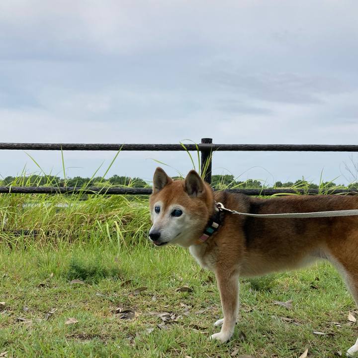 1c3195da 36d6 4930 a611 595a1e2b94cb 1754711023237