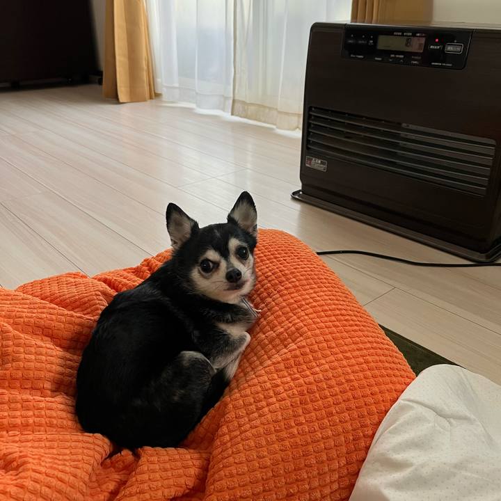 1c3227f2 263c 4cc7 b0f1 439228785f0c 1743840550974