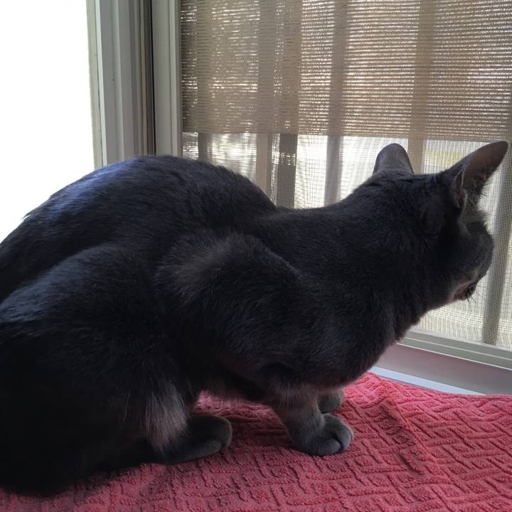 1c3248e1 059c 4a59 a2b7 59775ca27c77 1592363534181