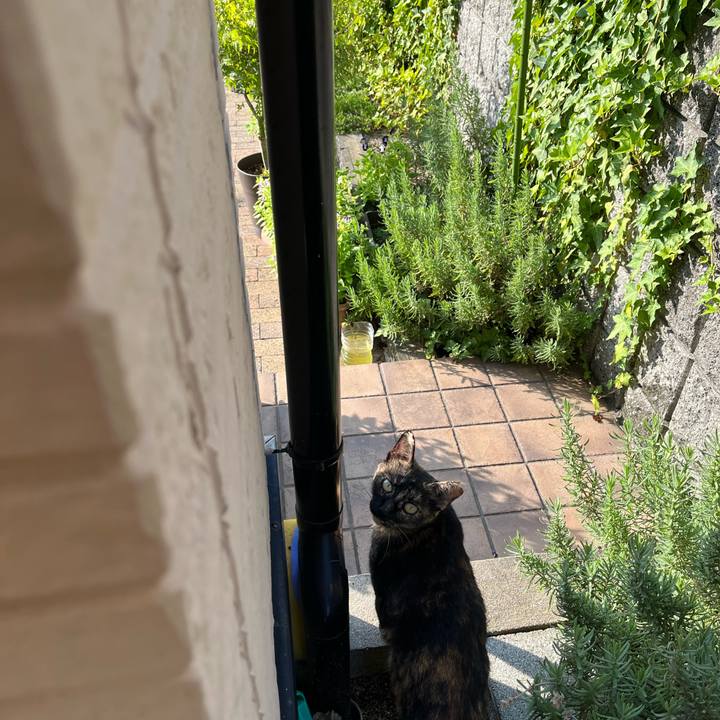 1c3262da 3ea0 4012 bfeb 1f75307e9a1b 1755504662938