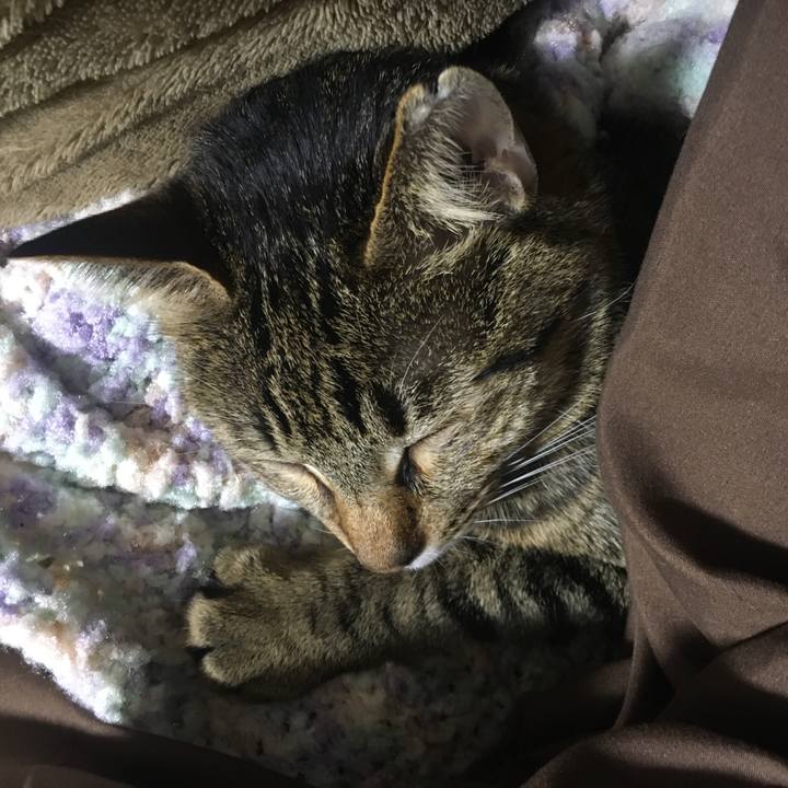 1c328f5e 913f 45c2 9edb 5b75043b94e8 1578406358365