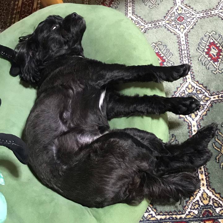 1c32948c 84af 426d 8da4 6bc79c5683f1 1567872723275