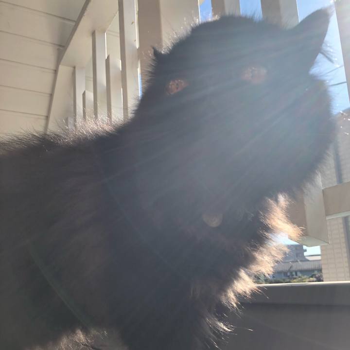 1c32d6d6 69e6 4d20 bfeb 92424bae88a4 1606098950324