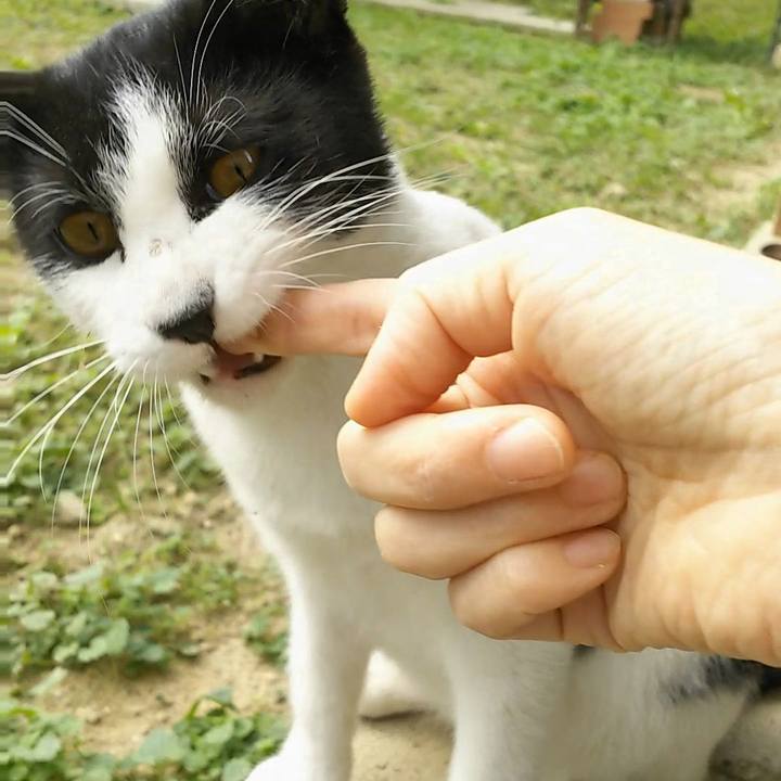 1c32d72d 0724 4e23 9f8b 5c6ea230629f 1540962680216