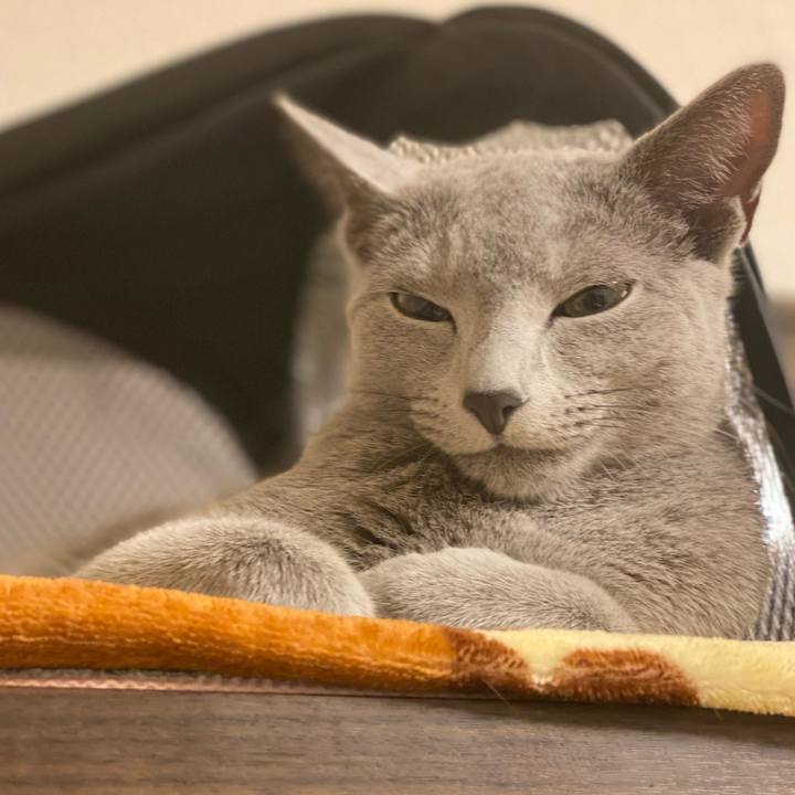 1c331afd 53a7 4b5b 9abb 3db42a499820 1617320757675