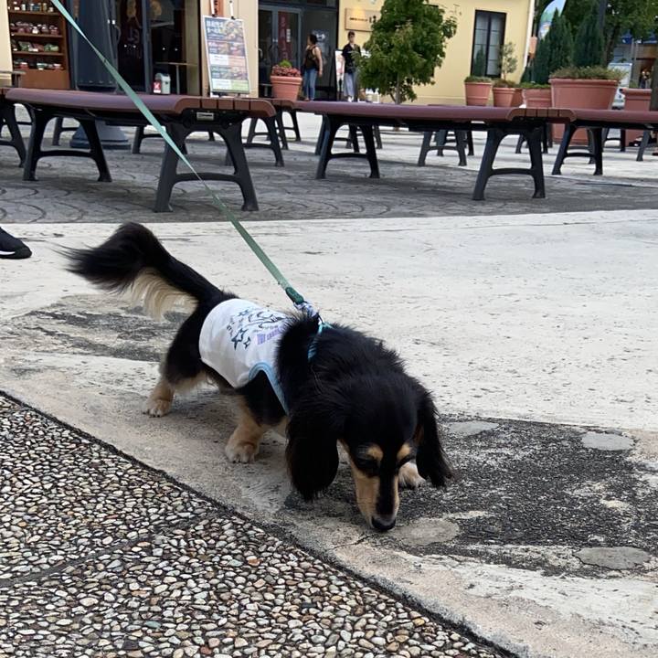 1c332e3e e2b8 45fd b2a3 ea599fde5095 1722816502992