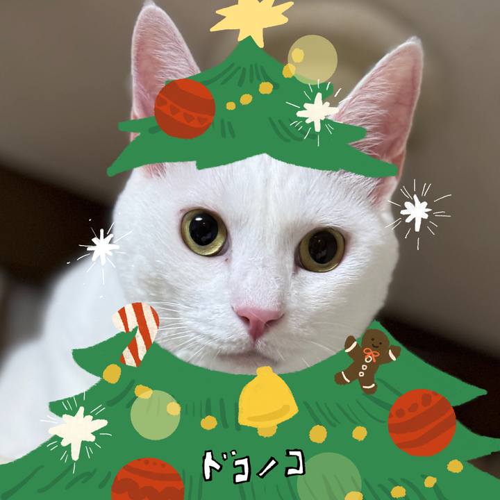 1c335d3b 8974 419a 9035 468c40f13253 1761465304710