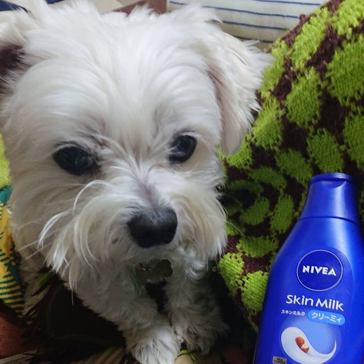 1c335ece bd04 4a86 a872 1dcf20bcb6a6 1639145631605