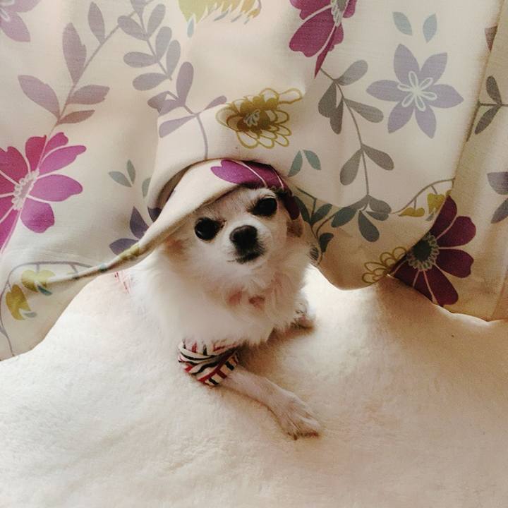 1c33708f e2c6 47b6 b922 34d8cb16d39b 1575265301695