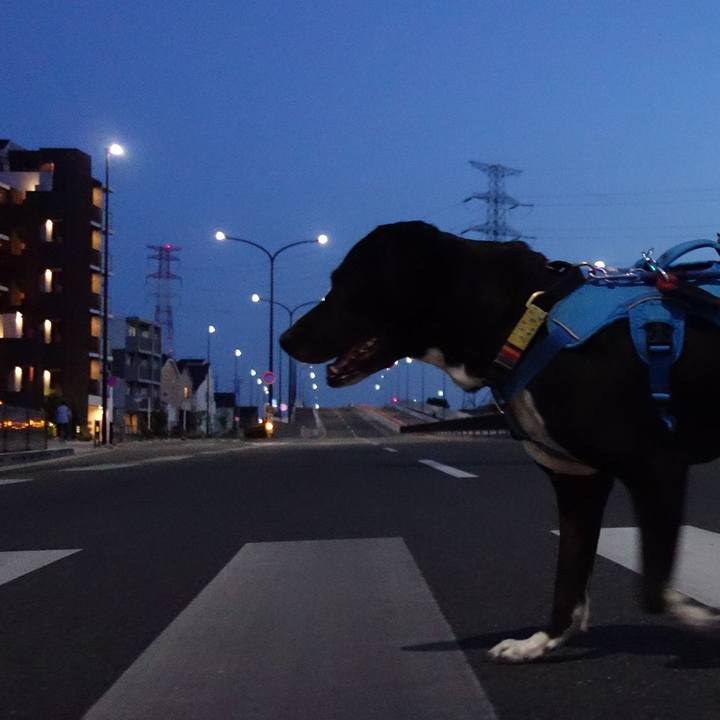 1c33c074 0880 4cf7 8aab 519f2a517f8b 1620038752850