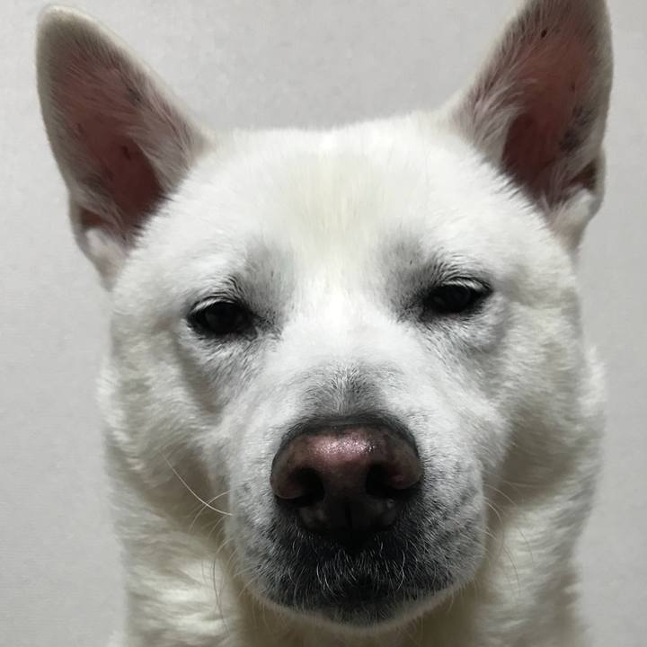 1c33c424 3788 411a 91a9 44bec21ee0a9 1524406532689